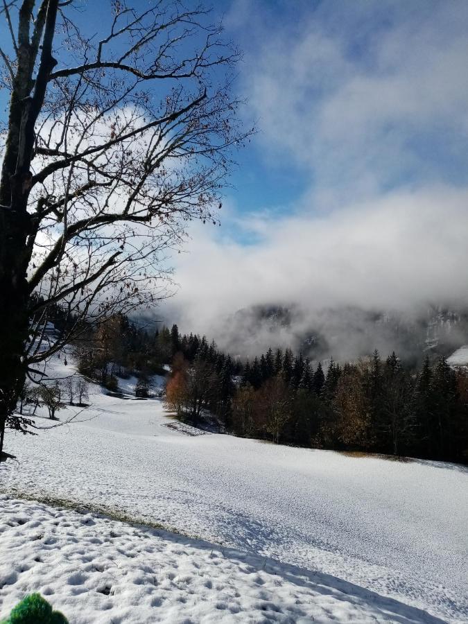 Apartment Lehengut Eben Im Pongau Exteriör bild
